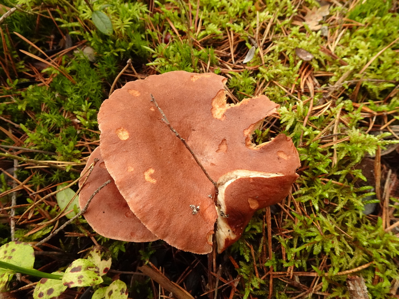DSC05846