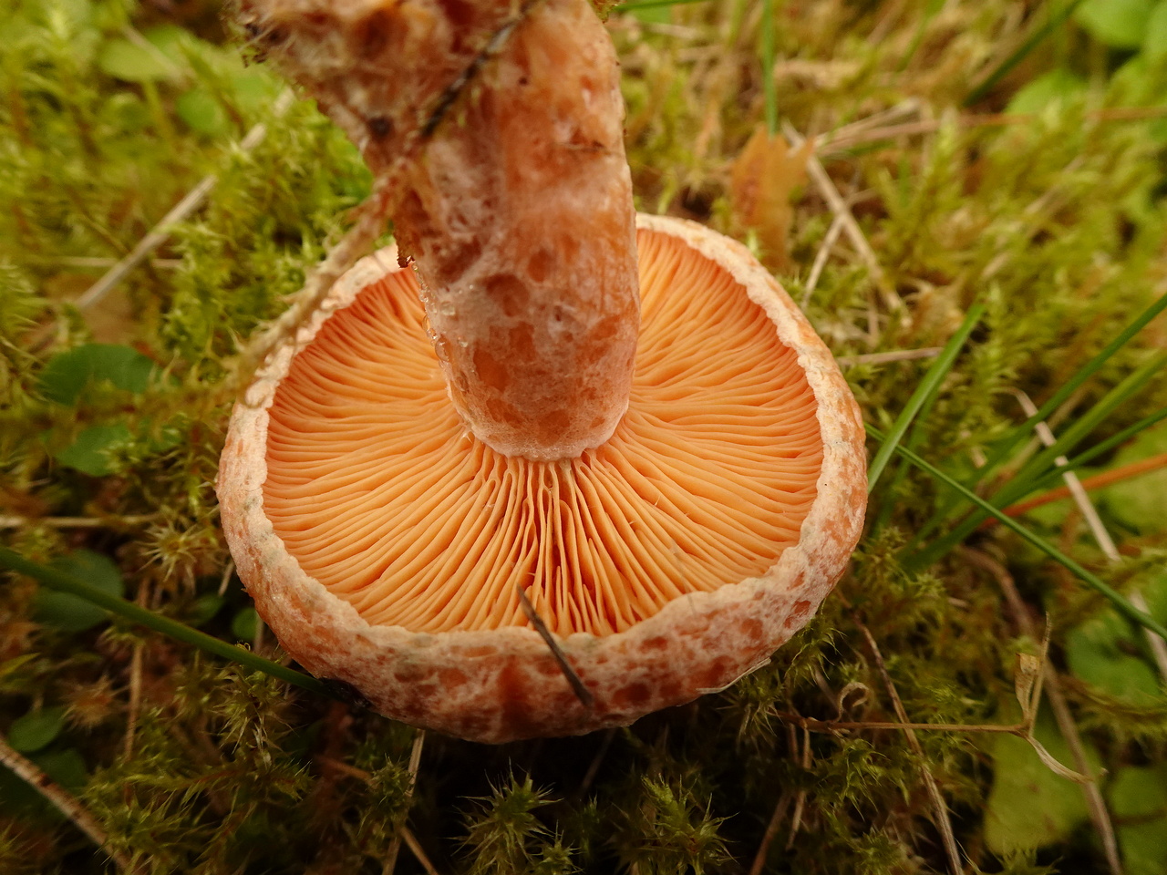 DSC06469