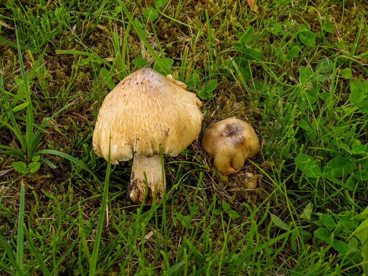 palmse-mõis_1-81