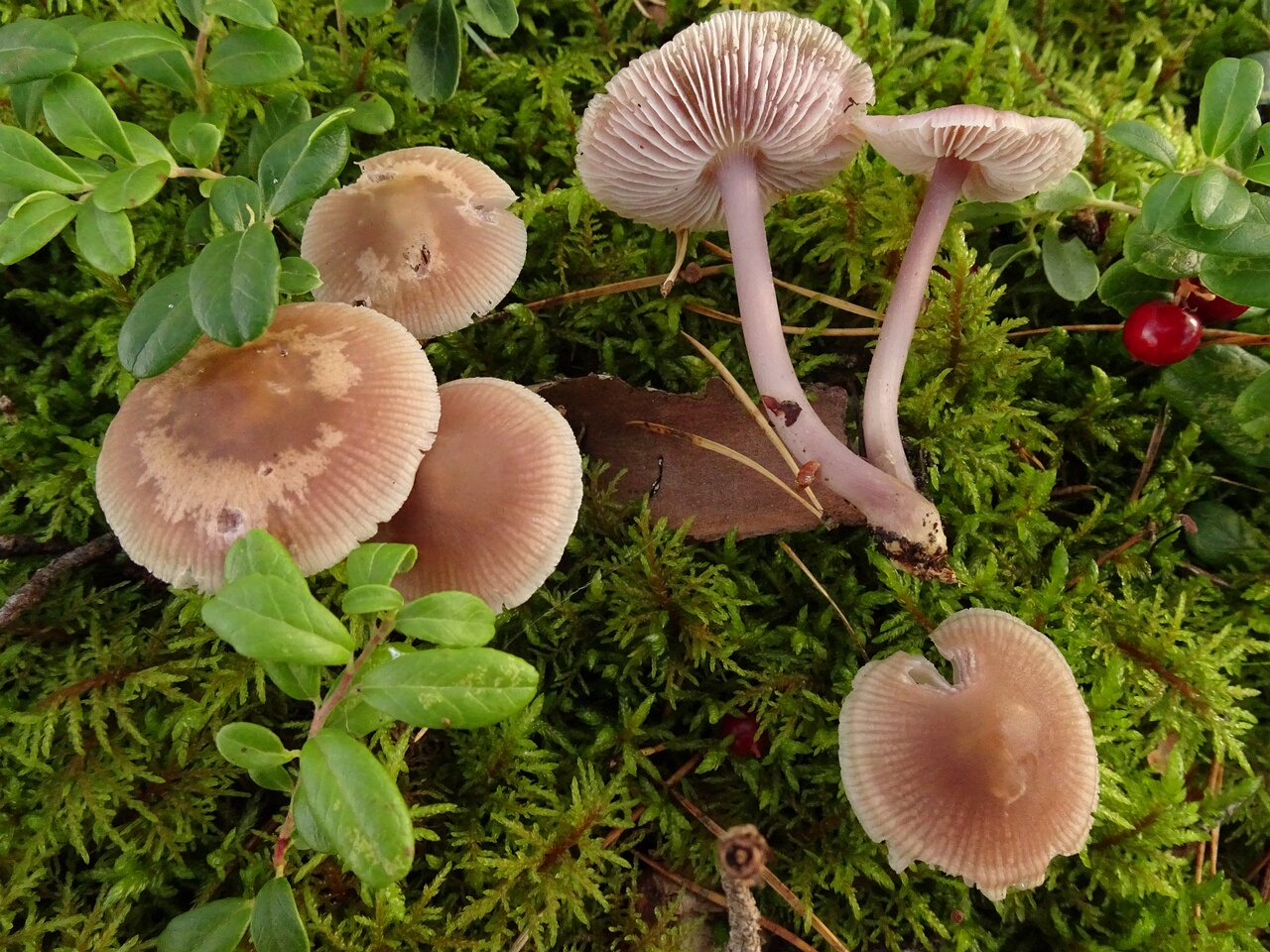 DSC00639