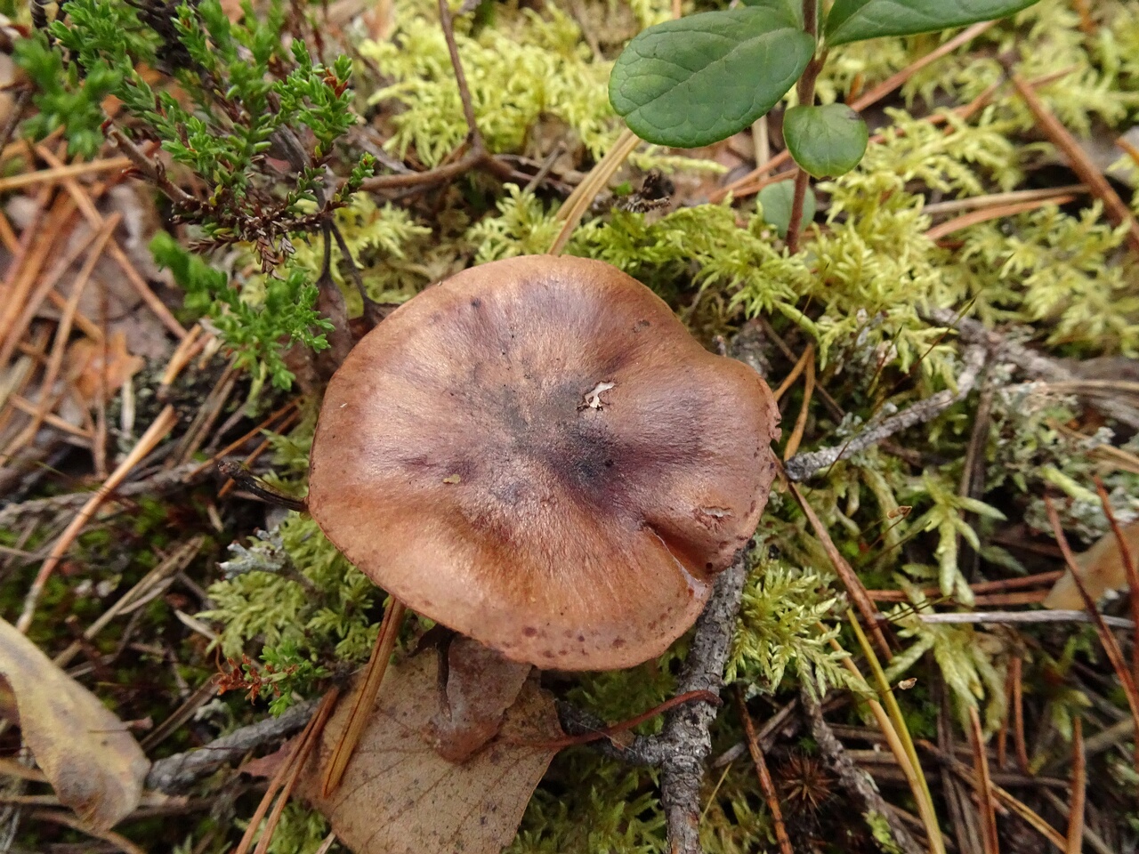 DSC06890