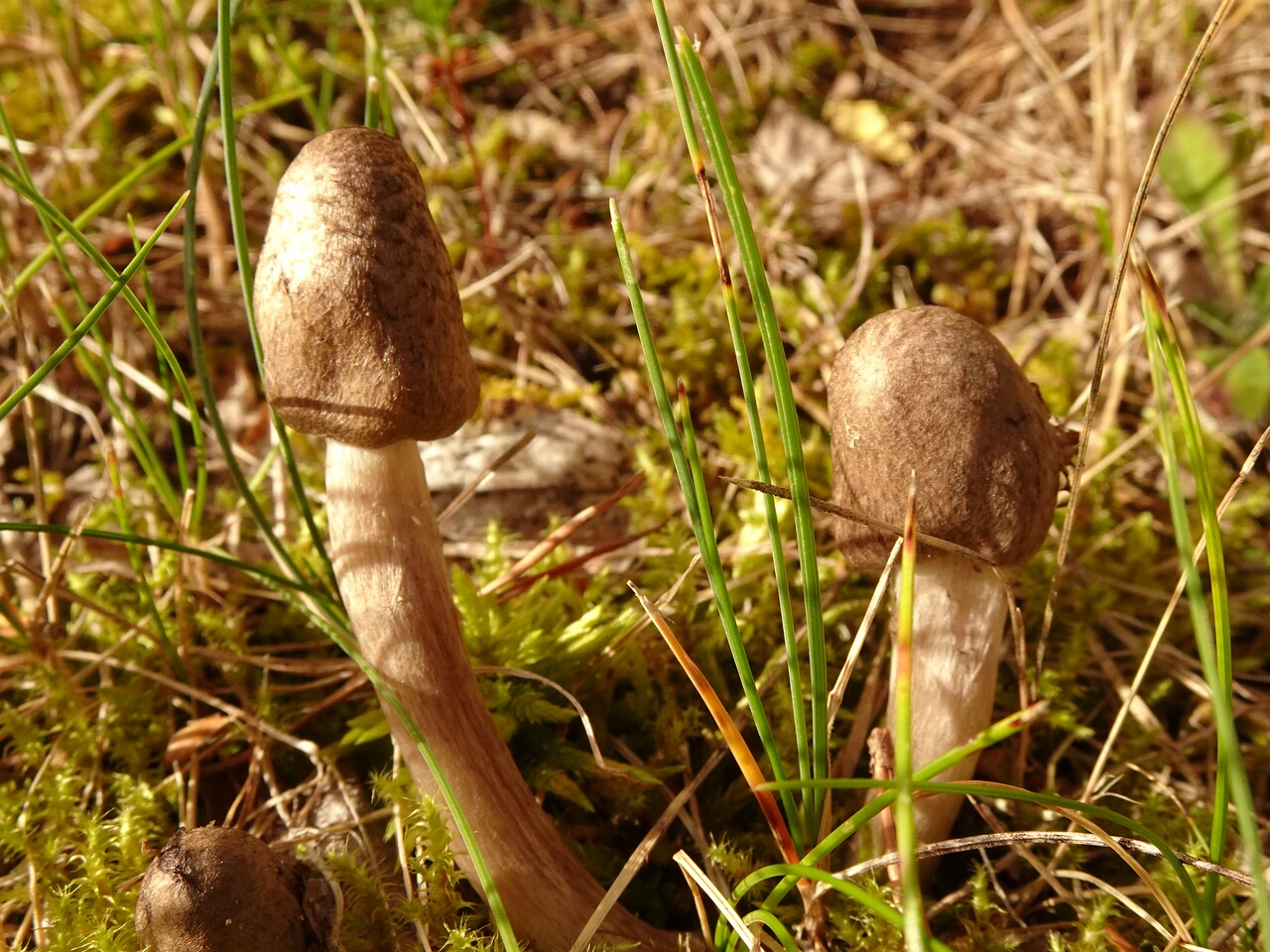 DSC06519