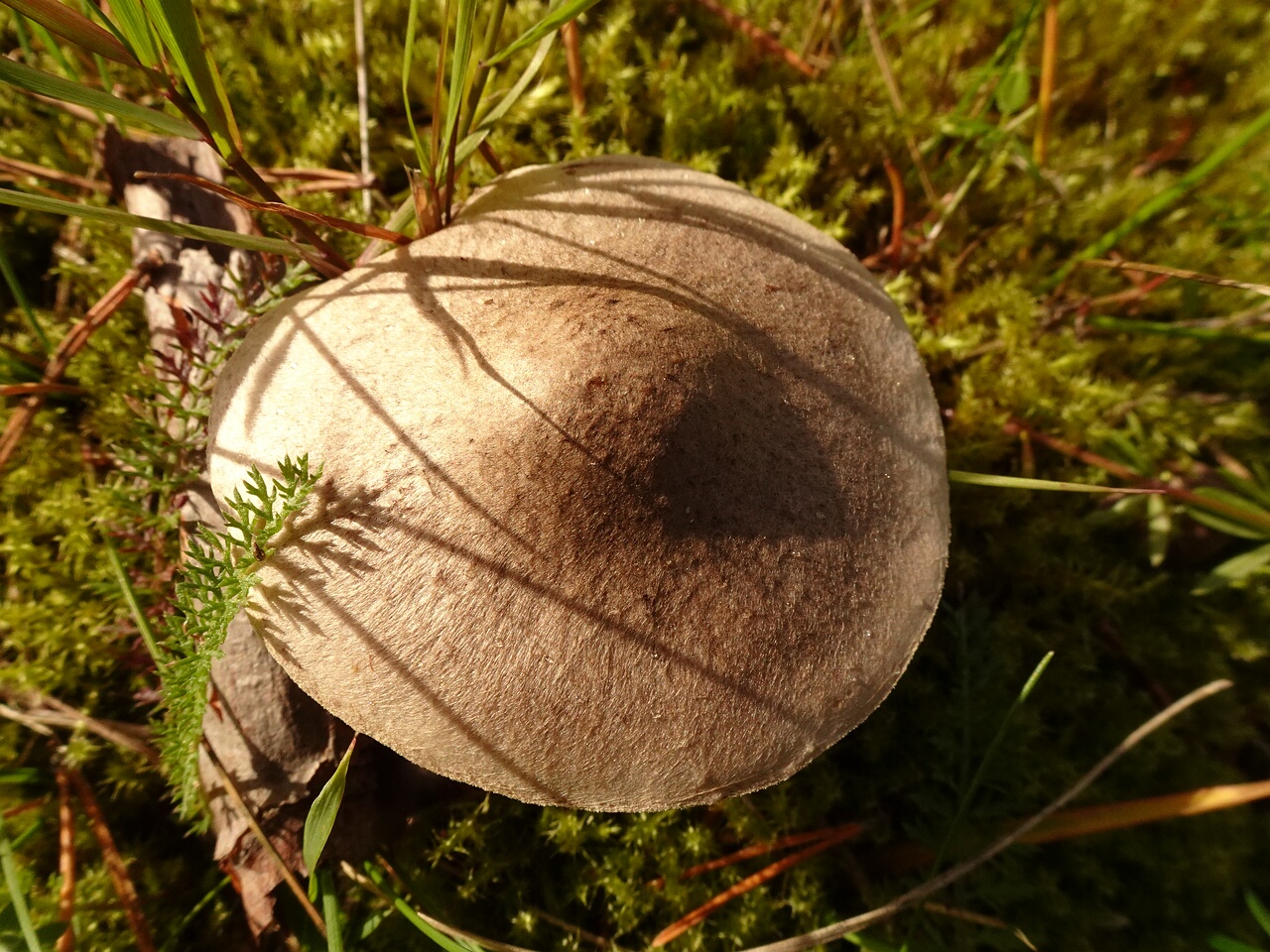 DSC06522