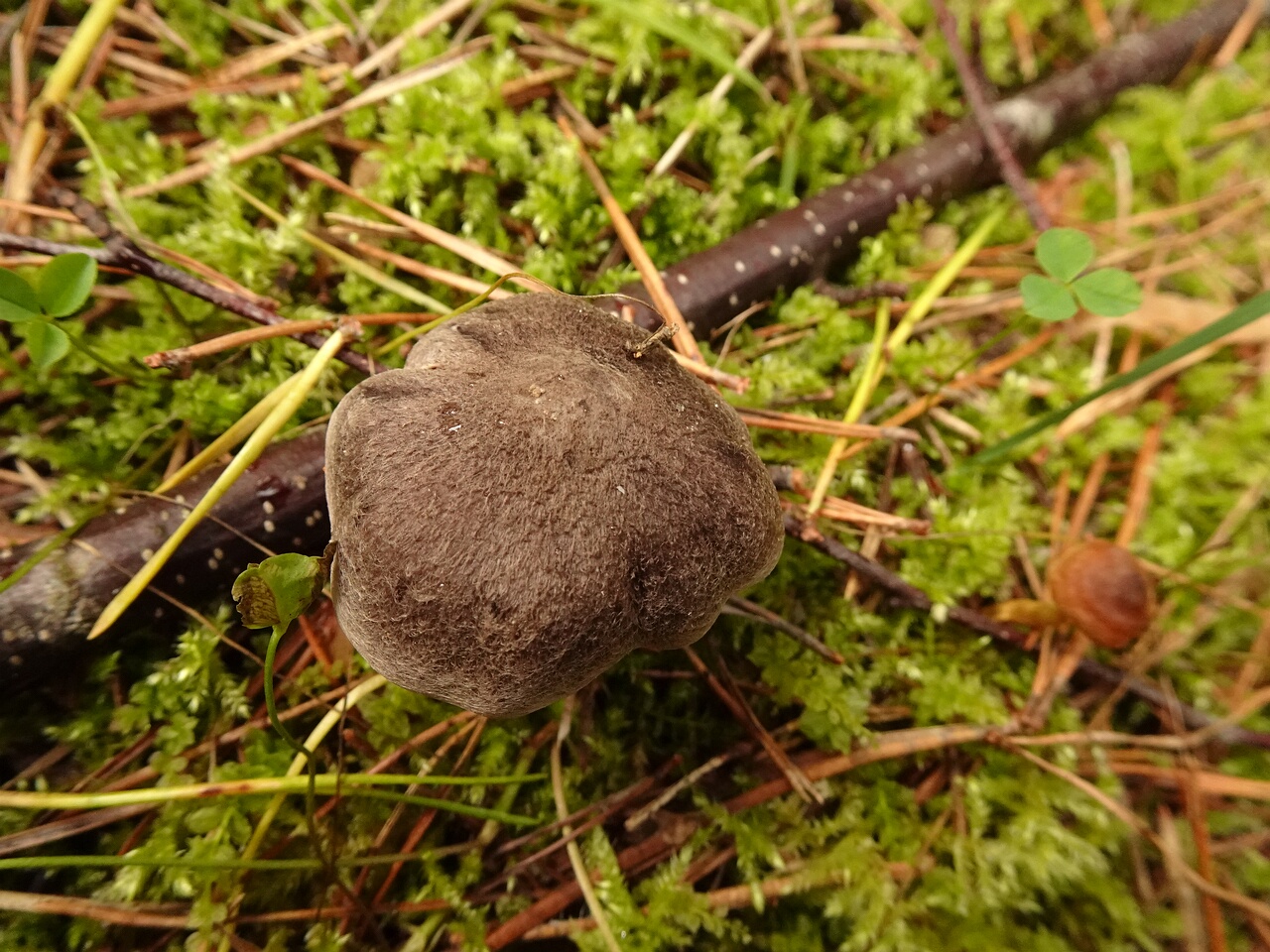DSC06538