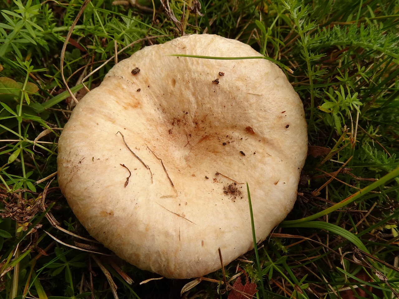 0DSC06499
