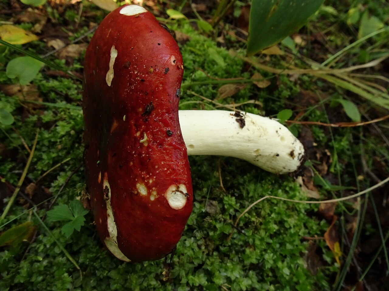 DSC05695