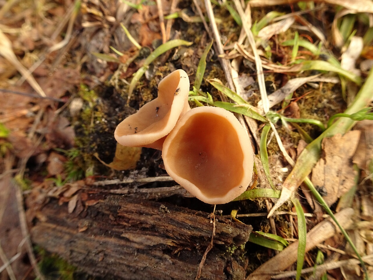 DSC07391
