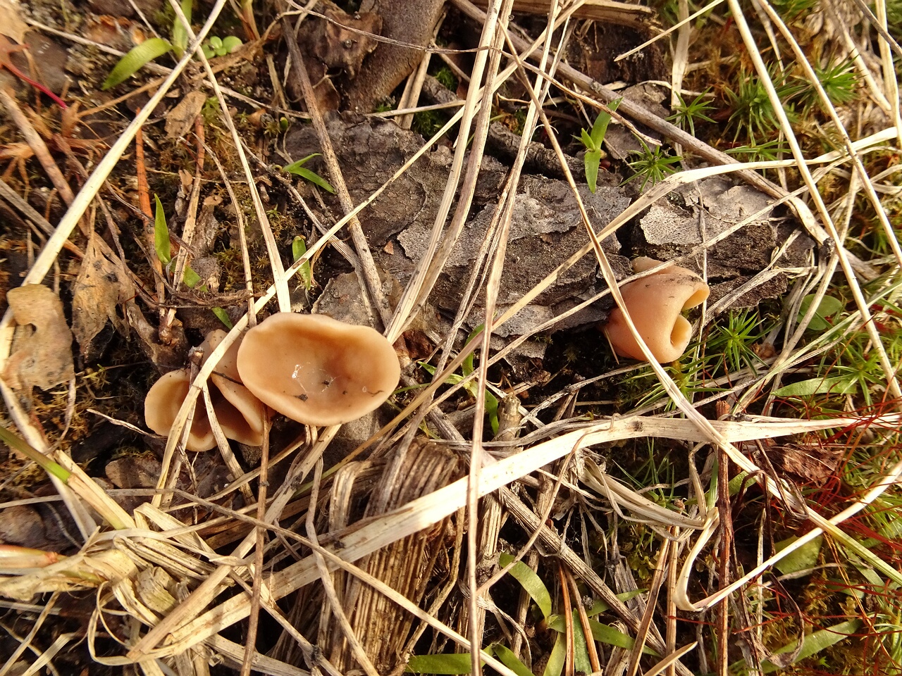 DSC07393