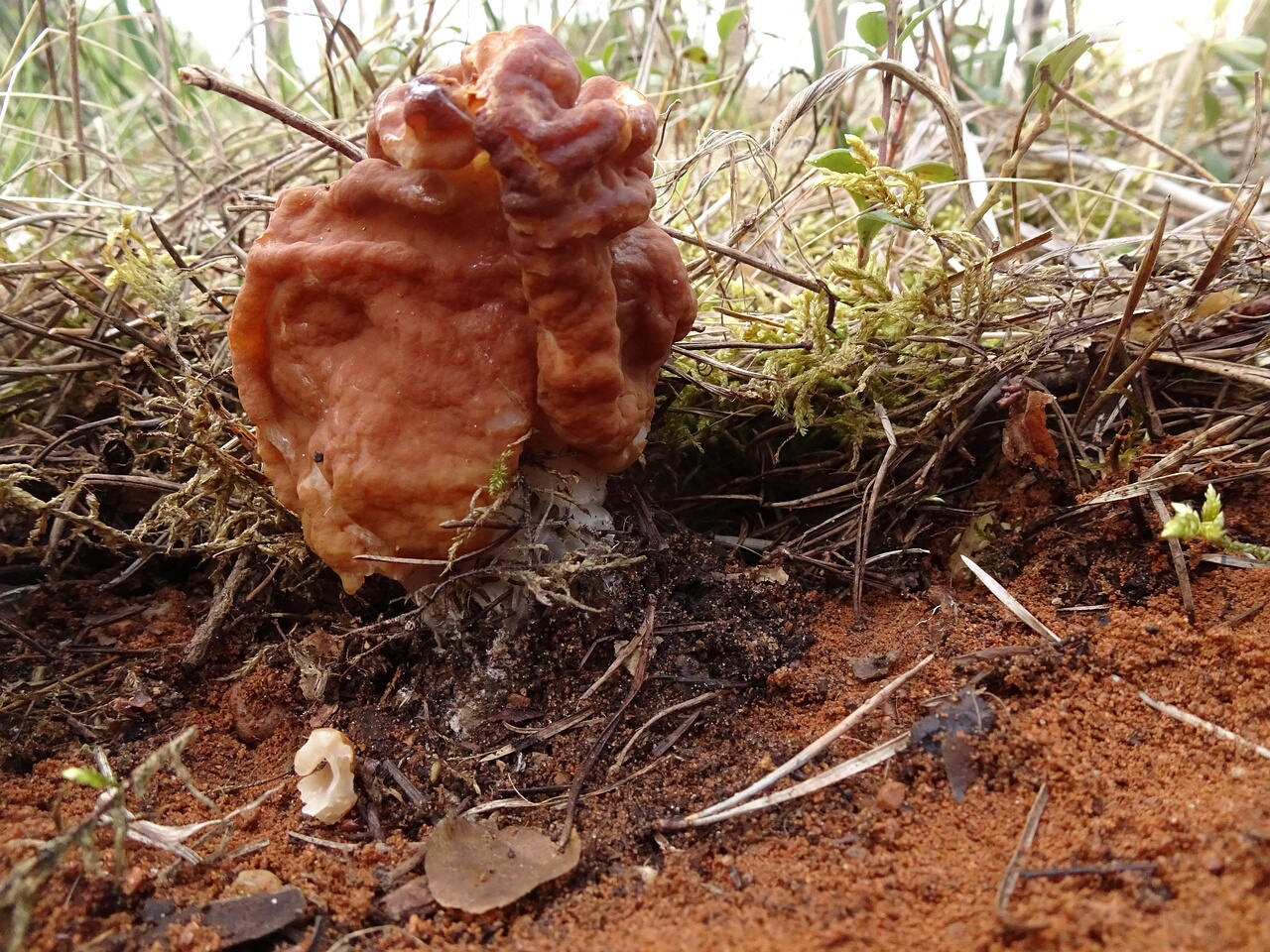 DSC05766