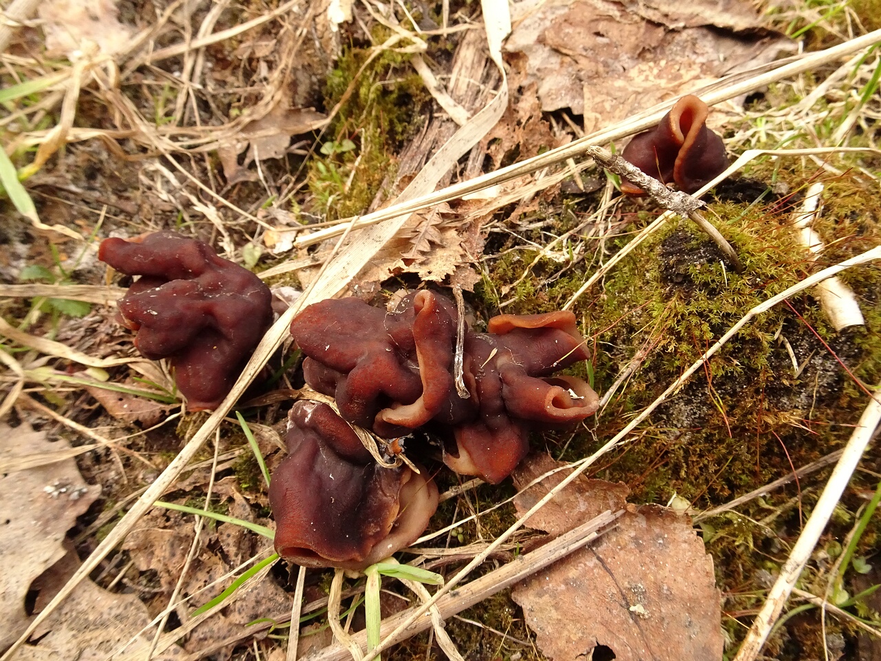 DSC07325