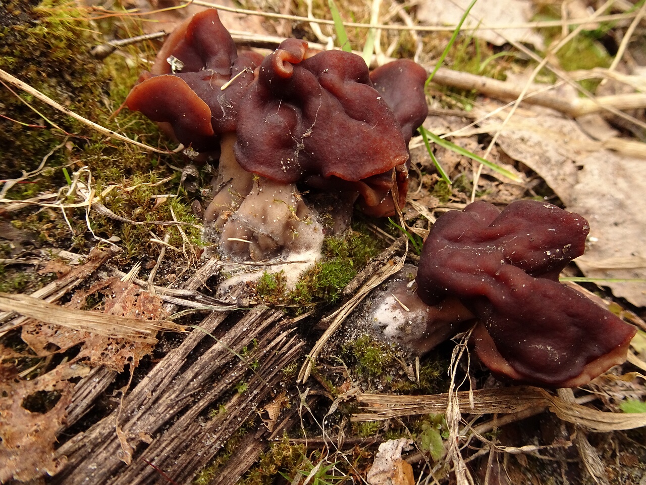 DSC07327