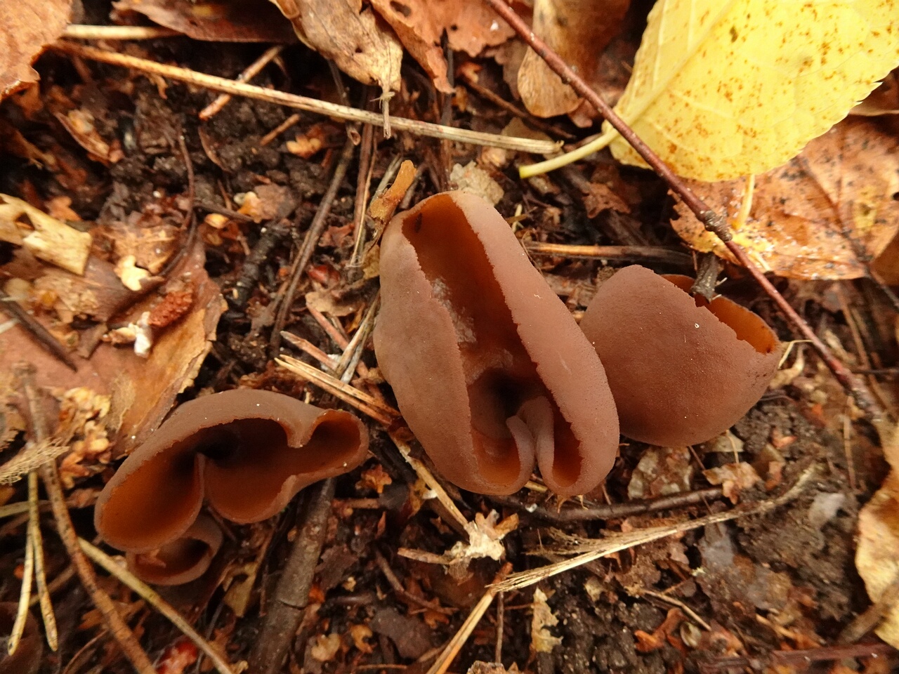 0DSC06711