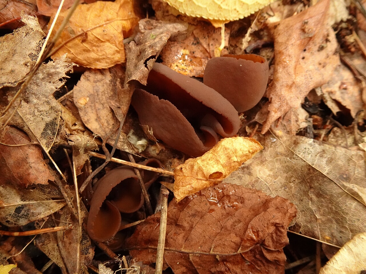 DSC06700