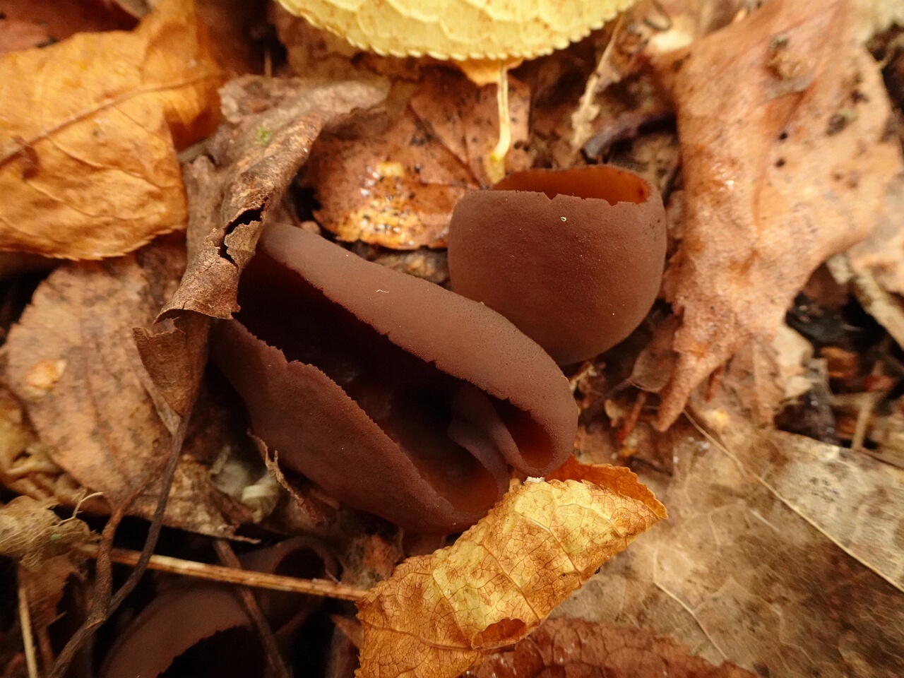 DSC06701