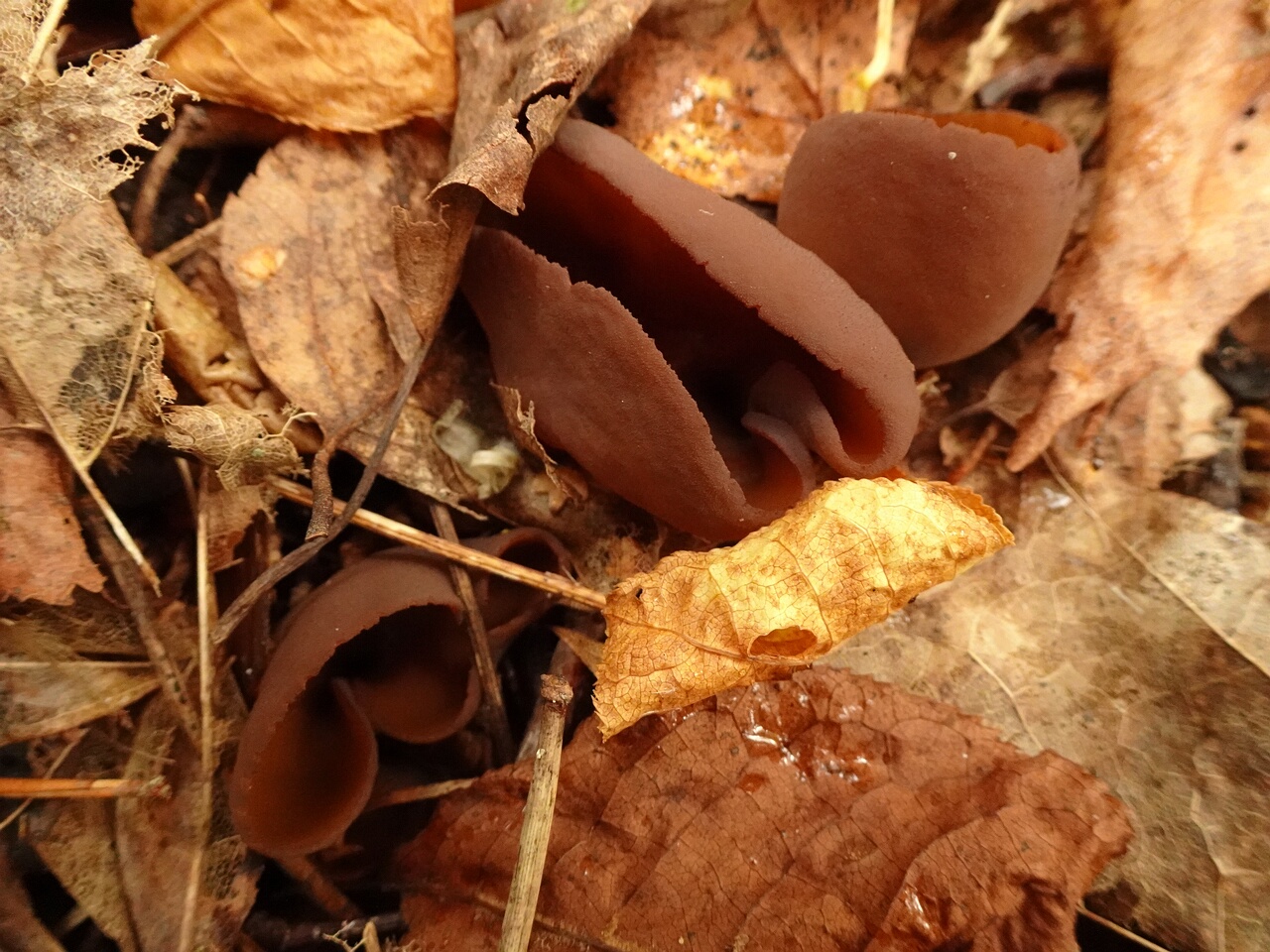 DSC06703