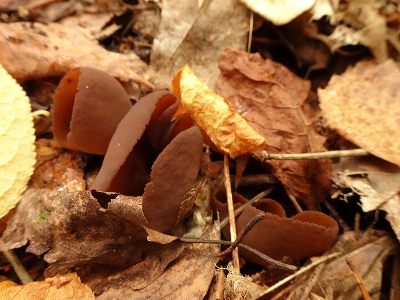 DSC06704