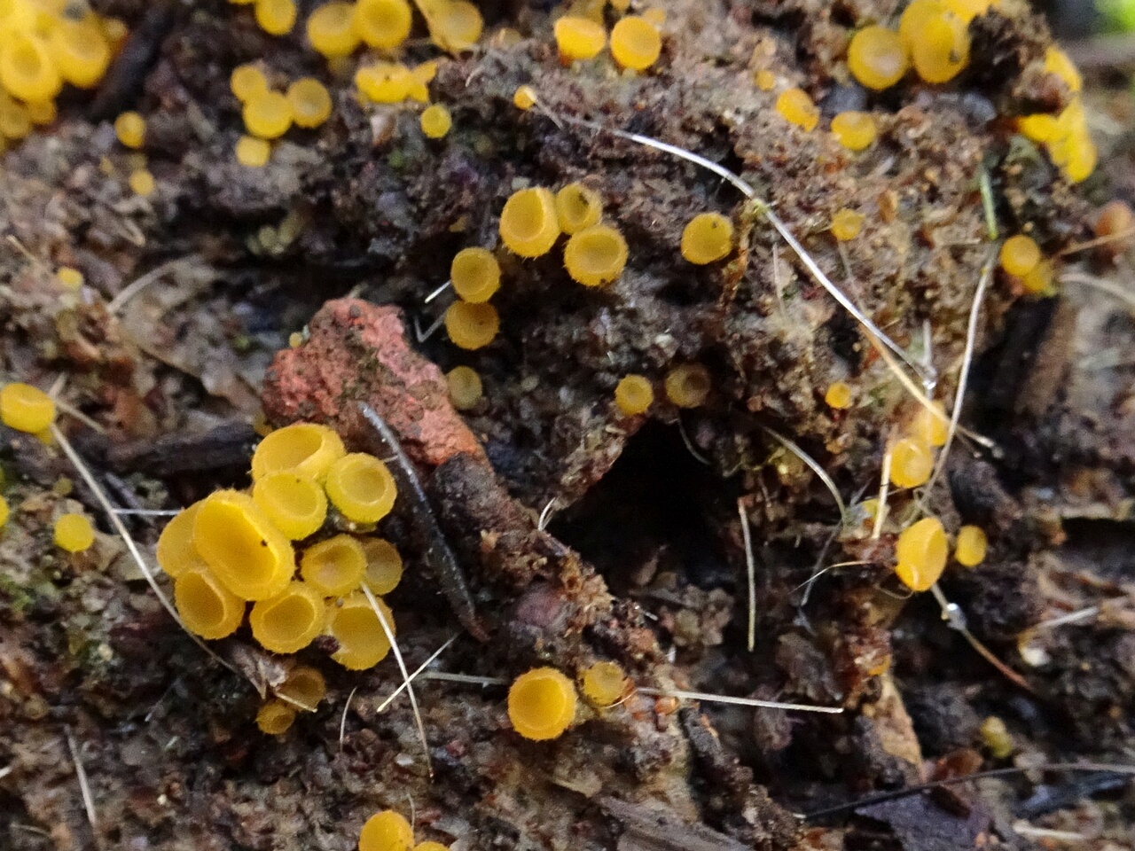 !DSC05880_