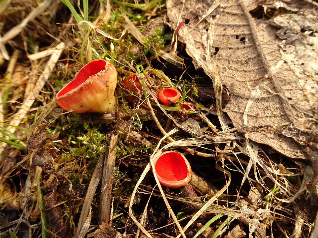 DSC07347