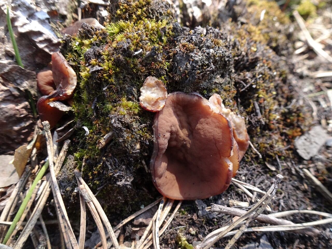 DSC05707
