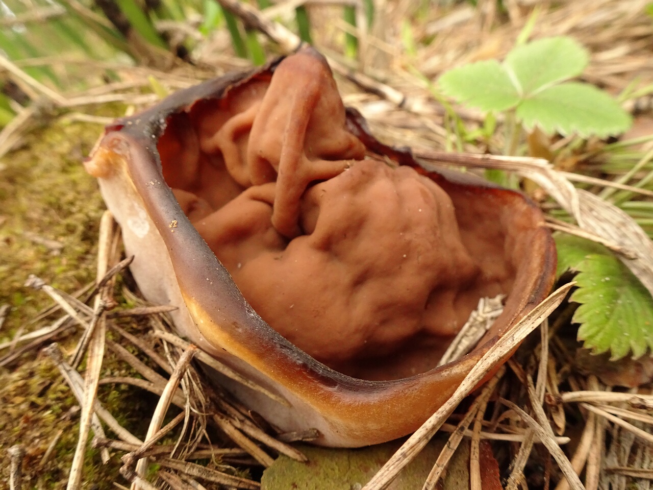 DSC05847