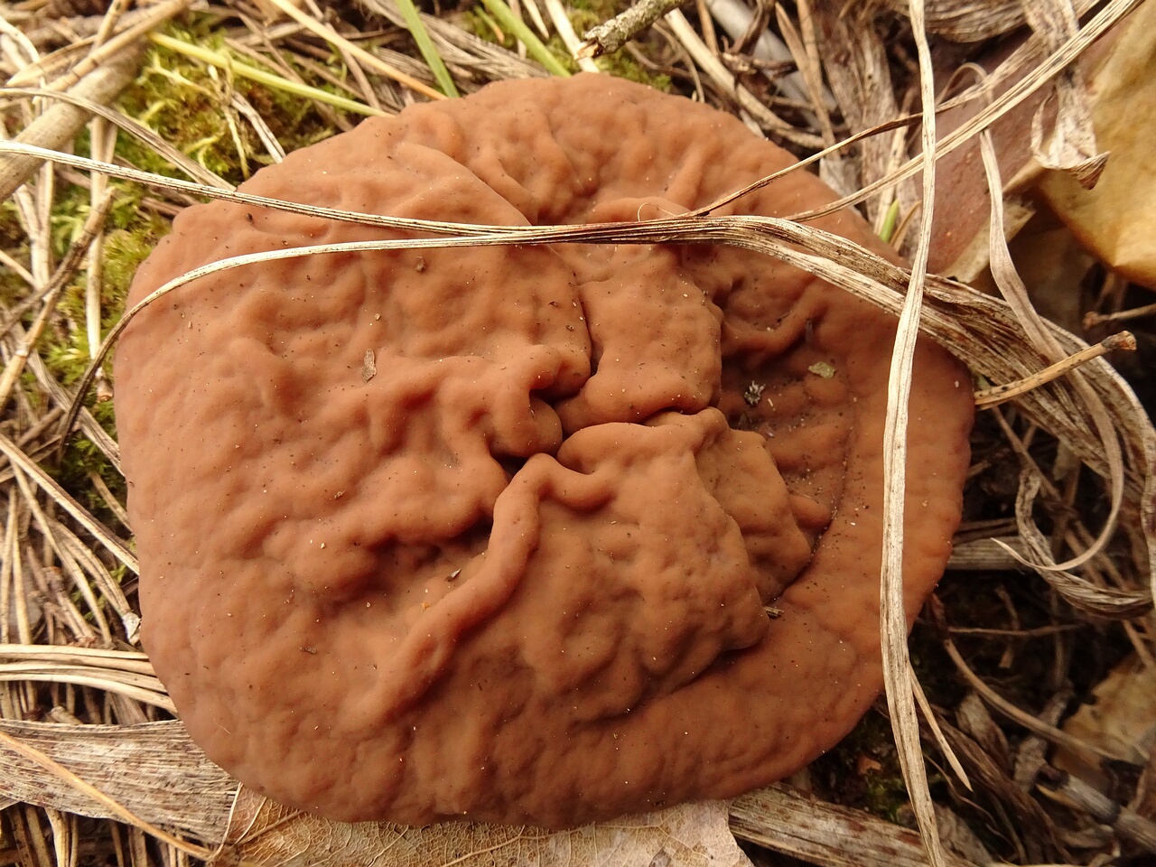 DSC05848