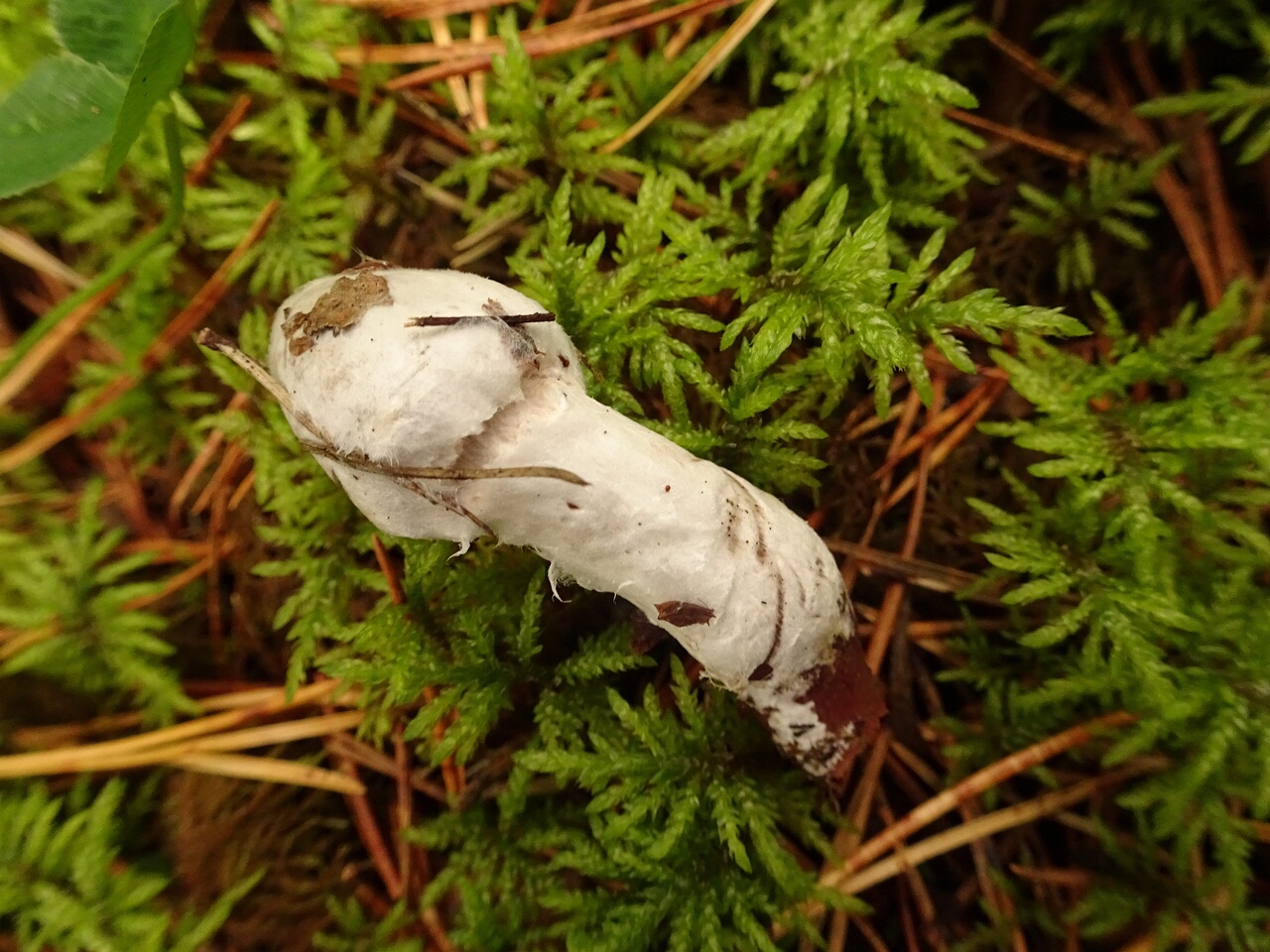 DSC05108