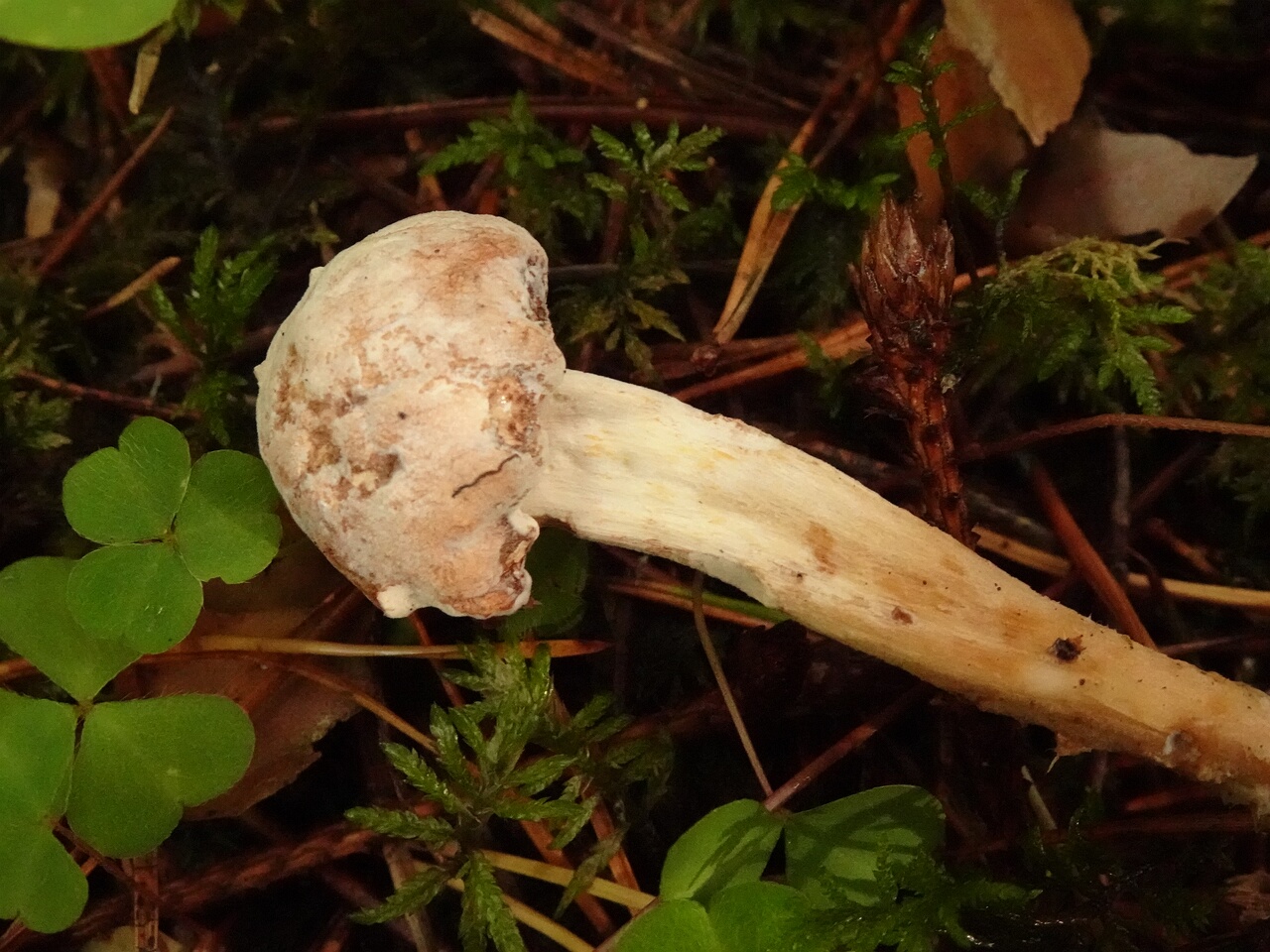 DSC05902