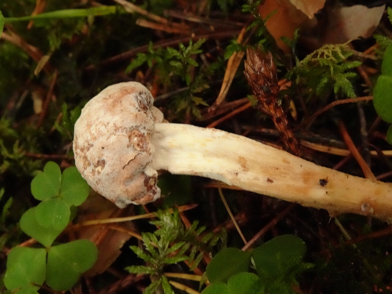 DSC05903