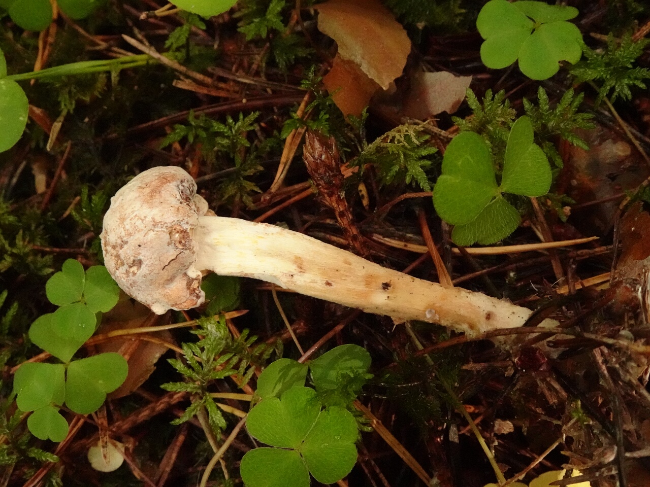 DSC05905