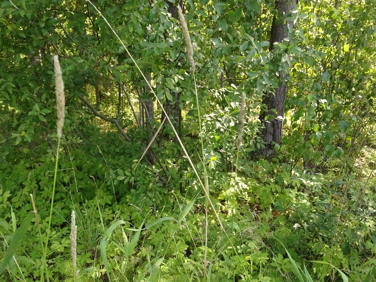 DSC00125