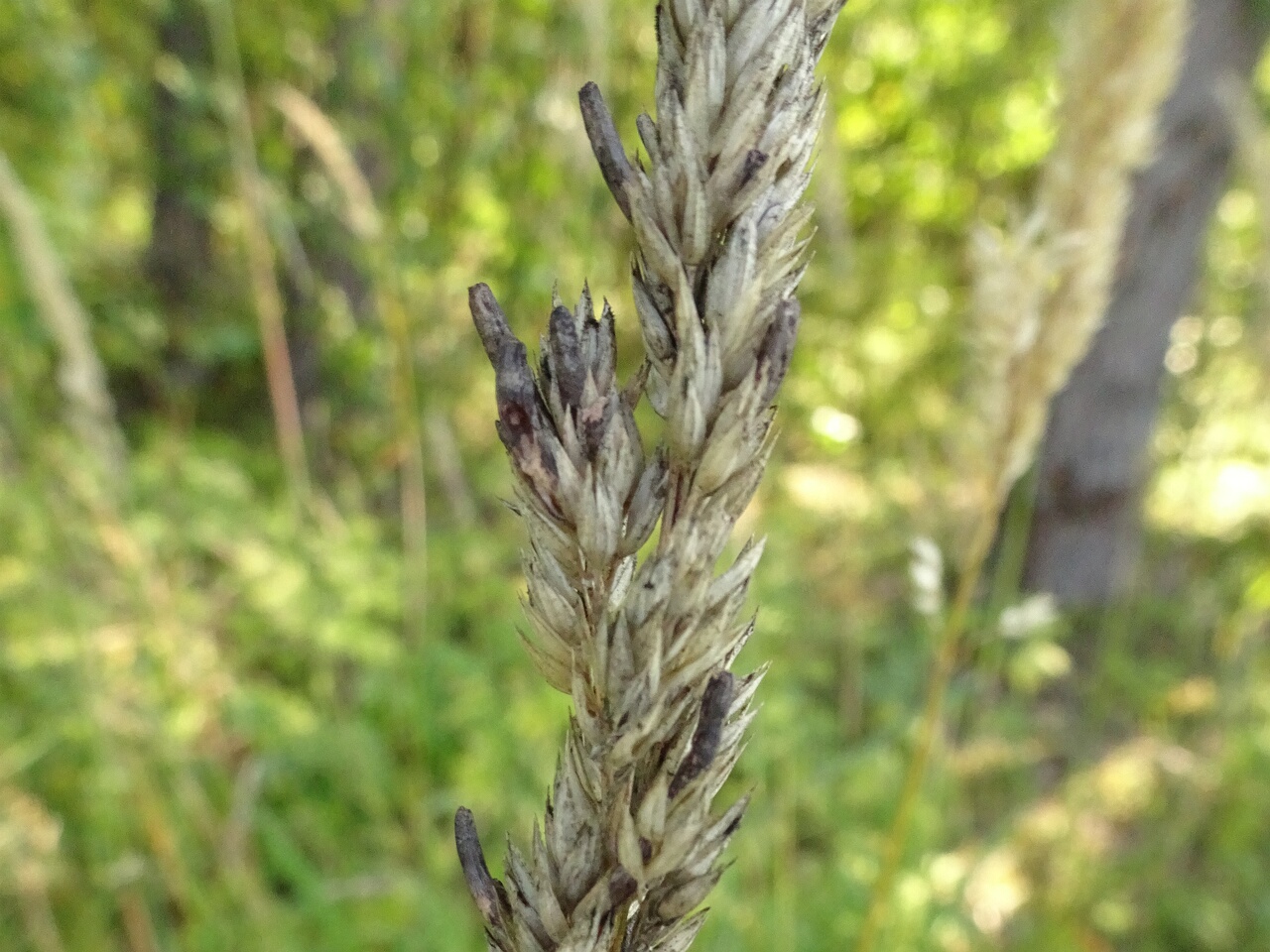 DSC00128