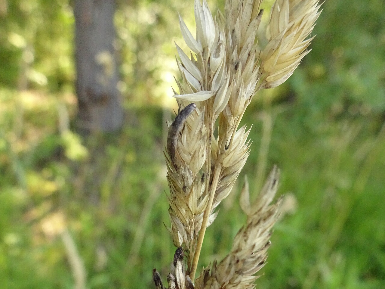 DSC00134