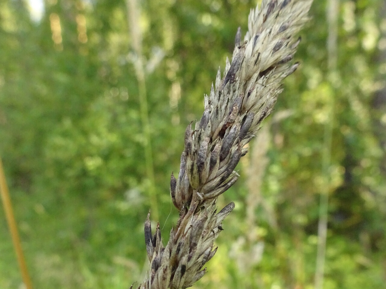 DSC00140